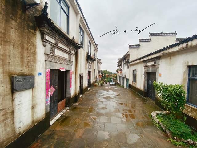 春雨直播app